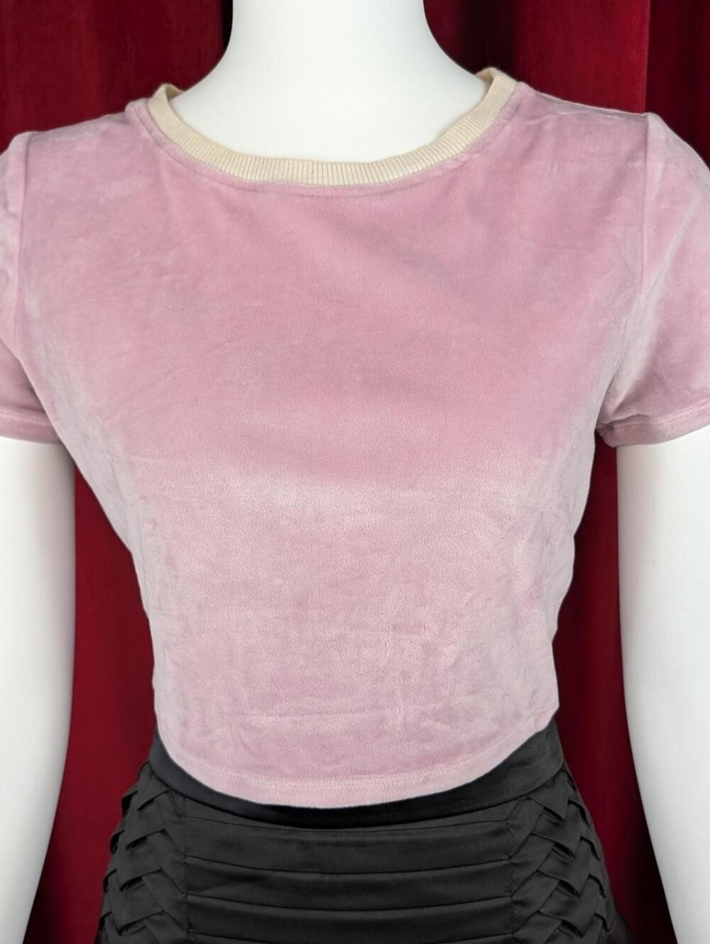 Urban Outfitters Pink Velvet Short Sleeve Crop Top